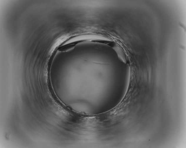 X0000091200054200708161623