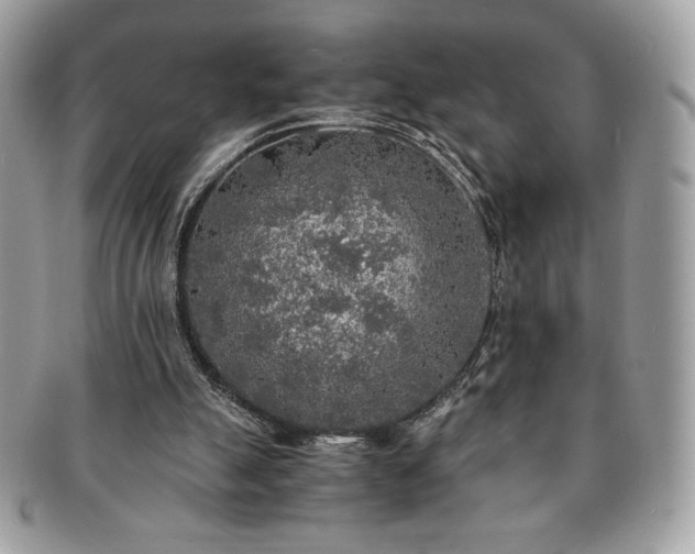 X0000091200055200708161623