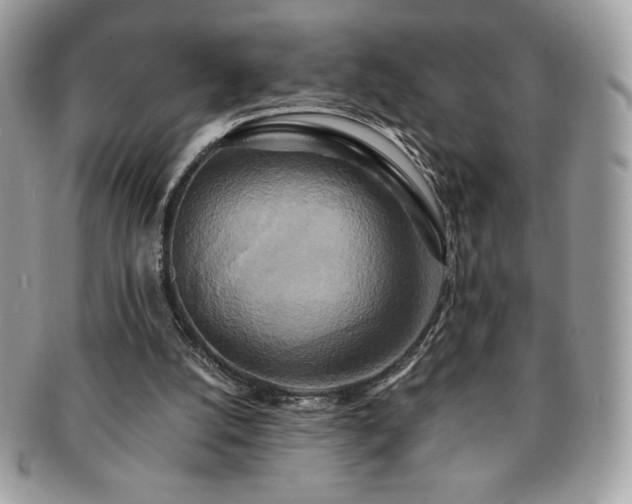 X0000091200056200708161623
