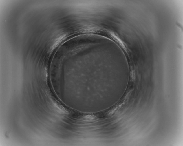 X0000091200059200708161623
