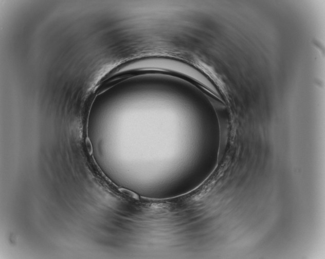 X0000091200060200708161623