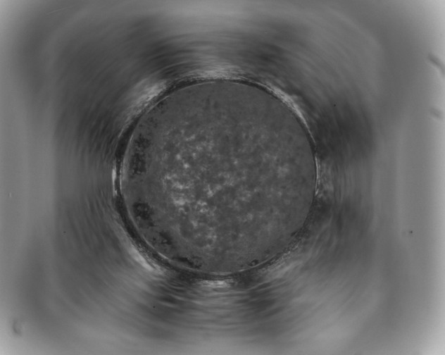 X0000091200061200708161624
