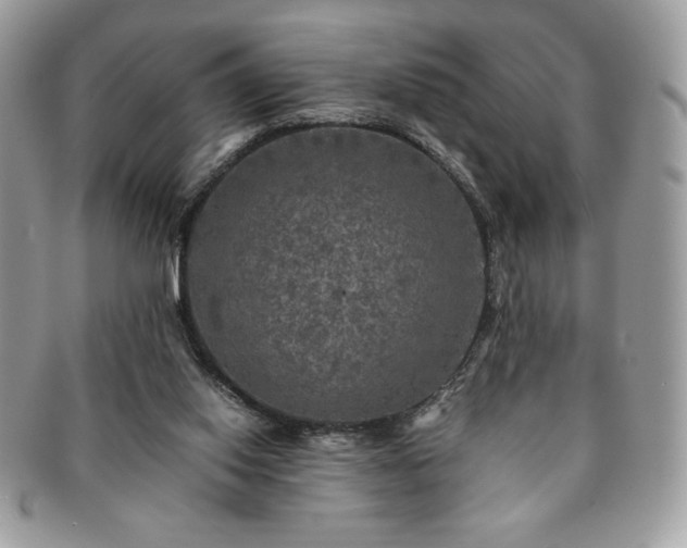 X0000091200062200708161624