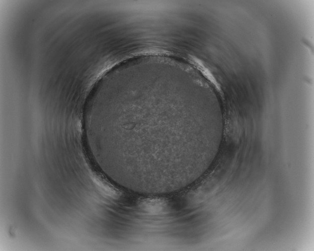 X0000091200063200708161624