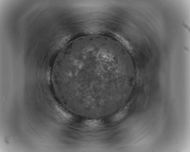 X0000091200065200708161624
