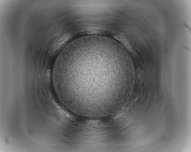 X0000091200066200708161624