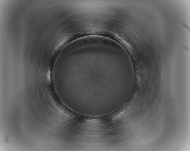 X0000091200067200708161624