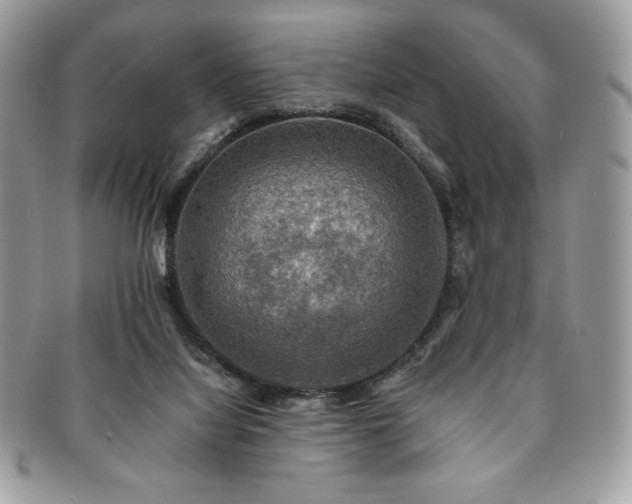 X0000091200068200708161624