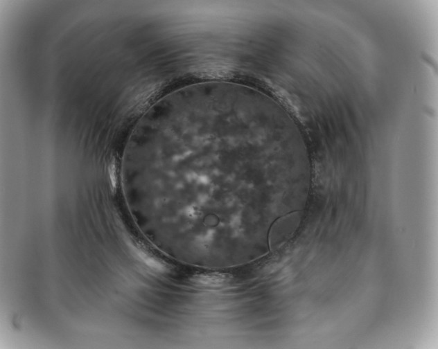 X0000091200069200708161624