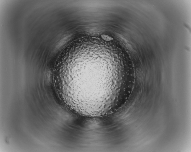 X0000091200071200708161624
