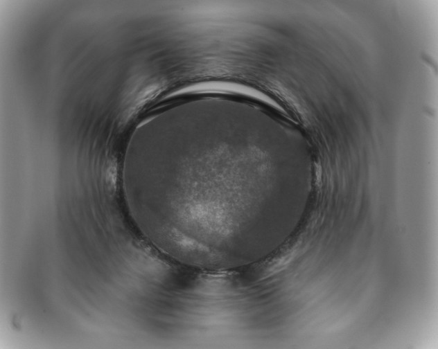 X0000091200072200708161624