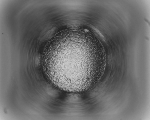 X0000091200073200708161624