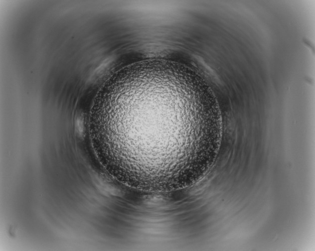 X0000091200074200708161624