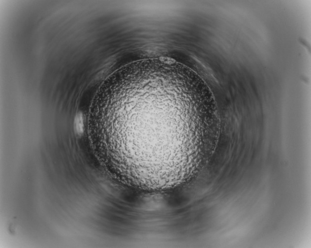 X0000091200075200708161624