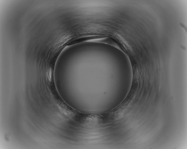 X0000091200076200708161624