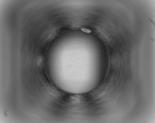 X0000091200079200708161624