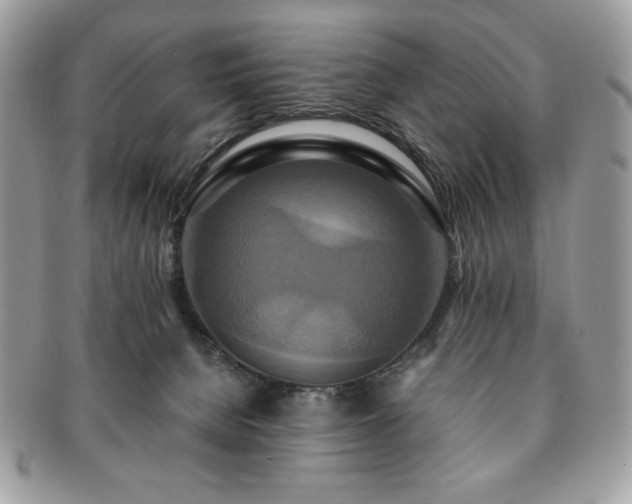 X0000091200080200708161624