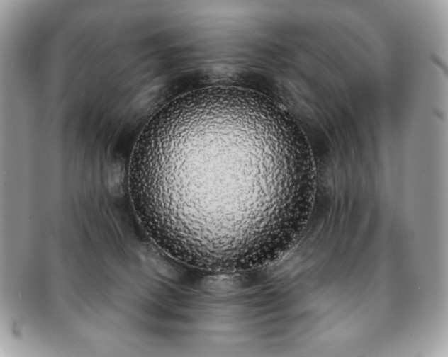 X0000091200082200708161624