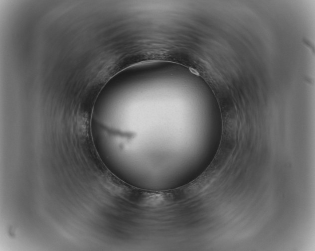 X0000091200083200708161624