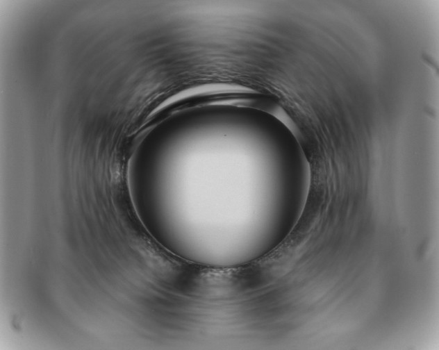 X0000091200084200708161624