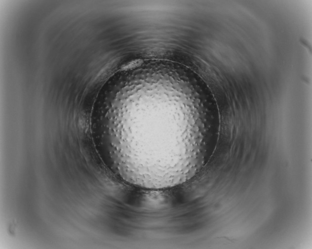 X0000091200091200708161624