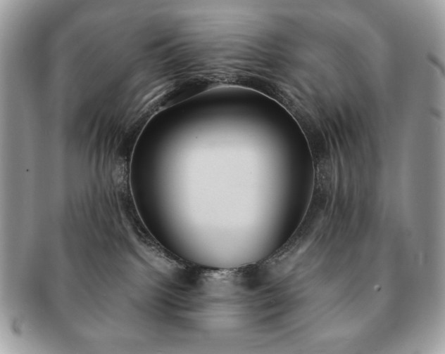 X0000091200092200708161624