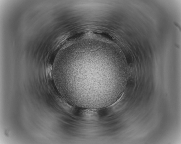 X0000091200094200708161624
