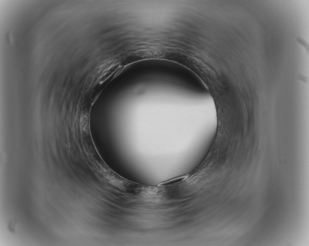 X0000091200096200708161624