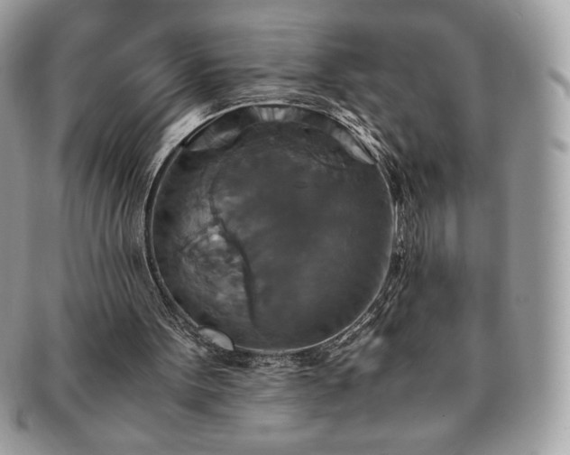 X0000091200099200708161623