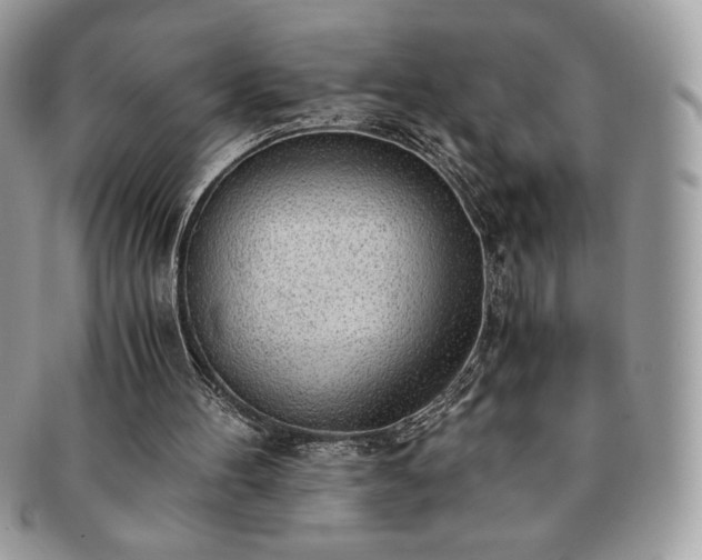 X0000091200100200708161623