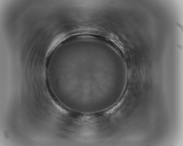 X0000091200101200708161623