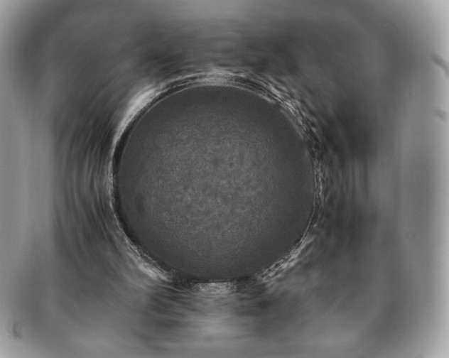 X0000091200102200708161623