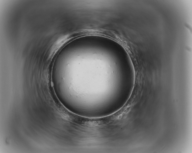 X0000091200103200708161623