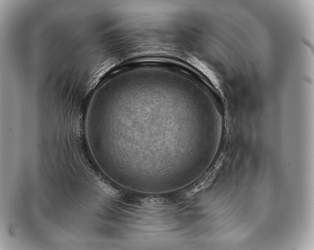 X0000091200105200708161623