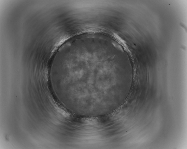 X0000091200106200708161623