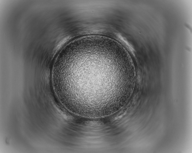 X0000091200107200708161623