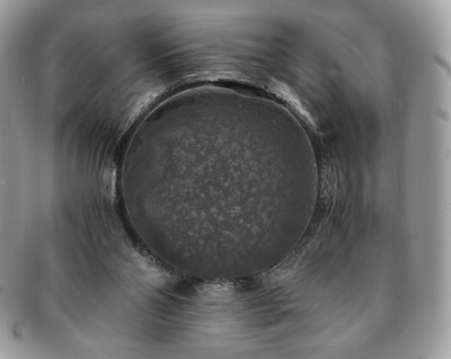 X0000091200110200708161623