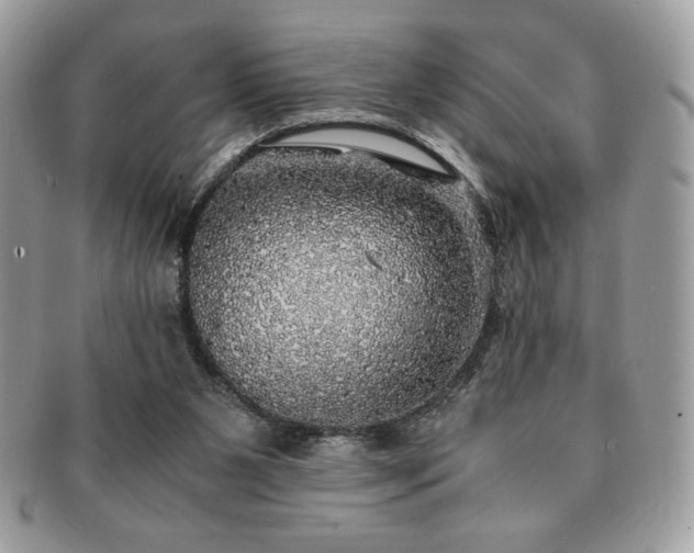 X0000091200111200708161623
