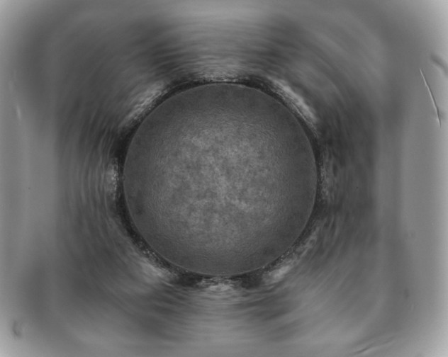 X0000091200113200708161623