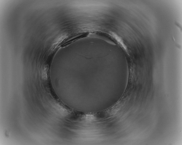 X0000091200114200708161623
