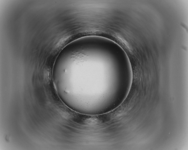 X0000091200119200708161623