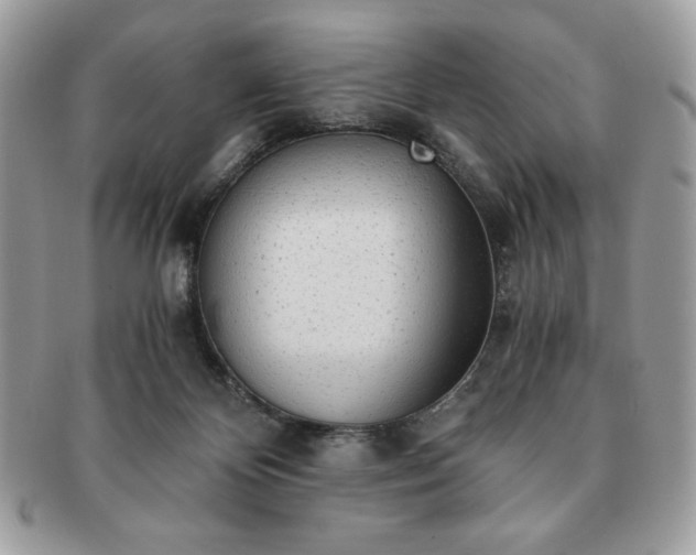 X0000091200124200708161623