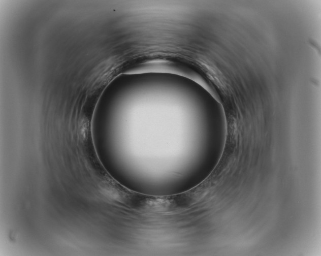 X0000091200125200708161623
