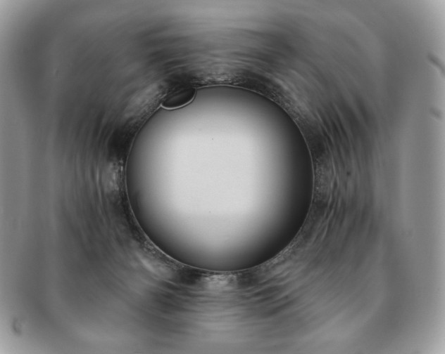 X0000091200126200708161623