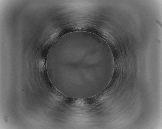 X0000091200127200708161623
