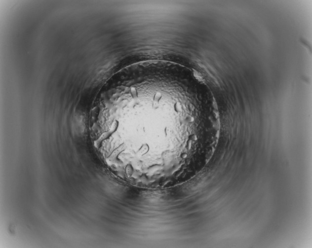 X0000091200131200708161623