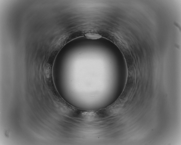 X0000091200133200708161623