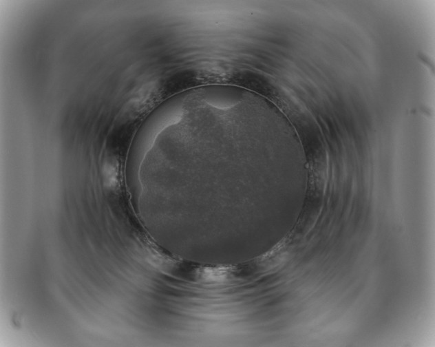 X0000091200134200708161623