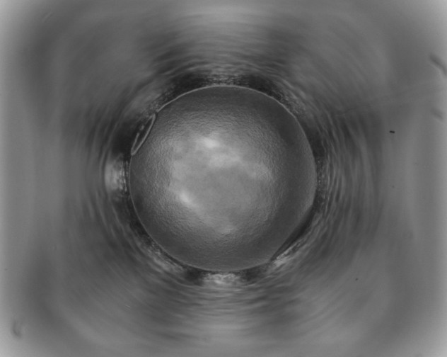 X0000091200137200708161623