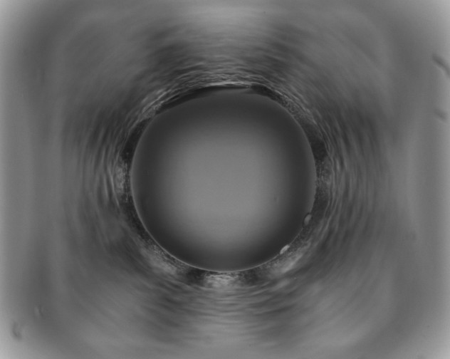 X0000091200139200708161623